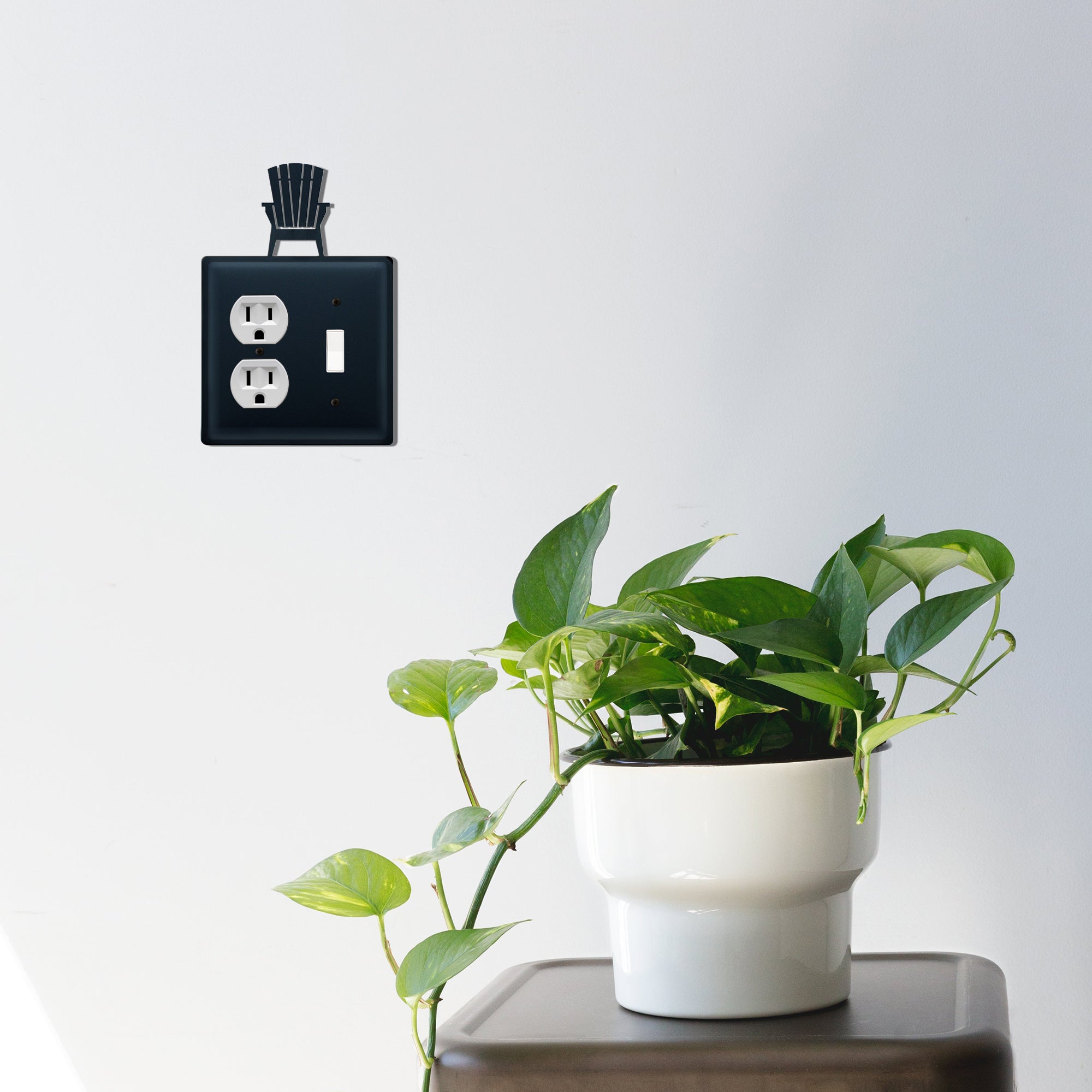 Adirondack Single Outlet and Switch Cover